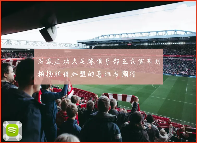 石家庄功夫足球俱乐部正式宣布刘柏杨租借加盟的喜讯与期待
