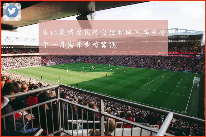 法比奥席尔瓦对出场时间不满或将于一月离开多特蒙德