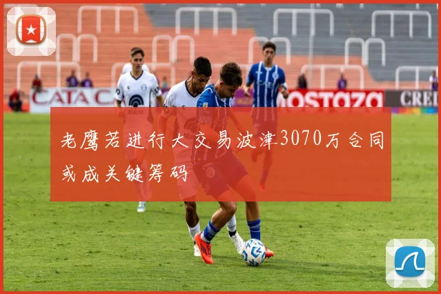 老鹰若进行大交易波津3070万合同或成关键筹码